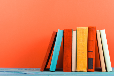 a stock photo of 8 books propped up. The books are of various size and colors such as red, blue, orange, yellow, and white. The books are set against an orange background